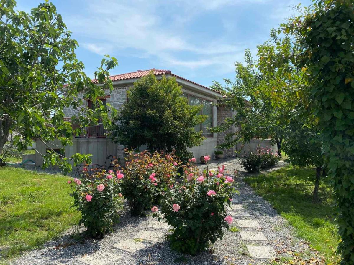 Kampus Luxury Villas Trikala  Bagian luar foto