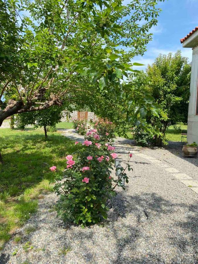 Kampus Luxury Villas Trikala  Bagian luar foto
