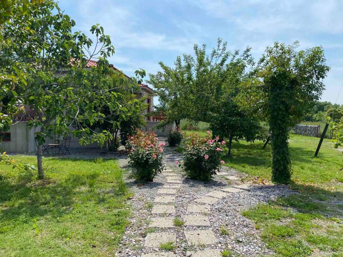 Kampus Luxury Villas Trikala  Bagian luar foto
